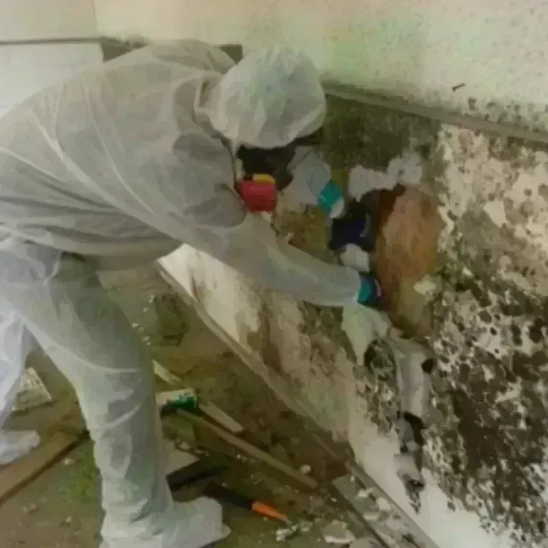 Mold Remediation and Removal in Pasquotank County, NC